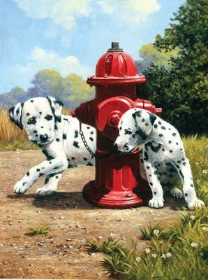 Maľovanie podľa čísel - Dalmatínci u červeného hydrantu
