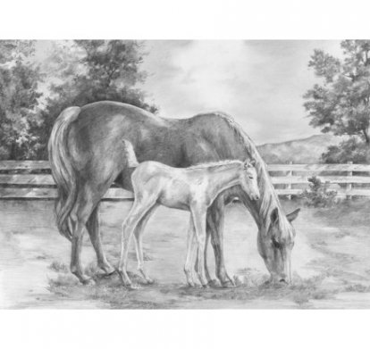 Maľovanie SKICOVACÍMI ceruzkou - Kôň a žriebä