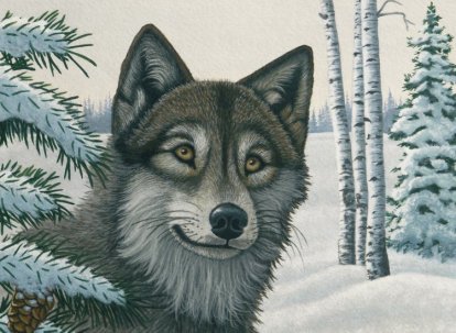 Maľovanie podľa čísel 40x32cm - Vlk v snehu