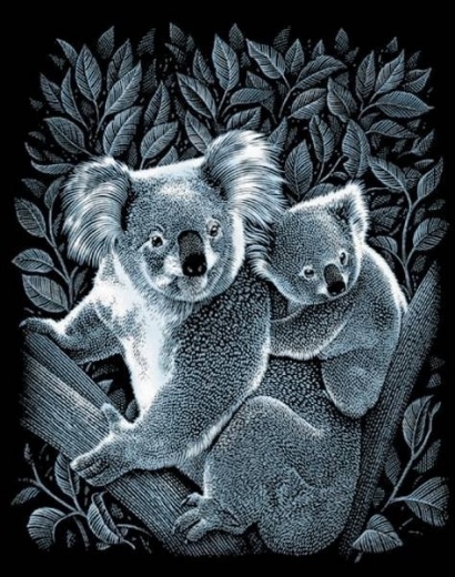 Koala s mláďaťom