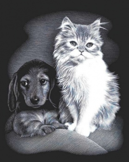 Mačka a pes