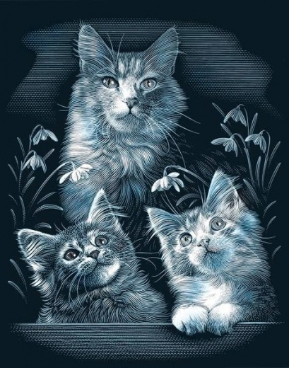 mačky tri