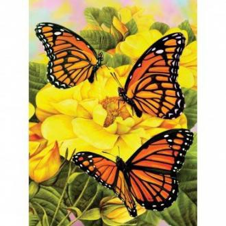 Maľovanie podľa čísel - Motýliky na žltých kvetoch