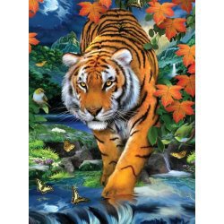 Maľovanie podľa čísel - Tiger
