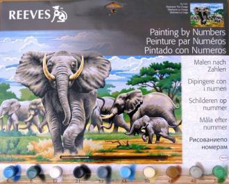Maľovanie podľa čísel - Slony