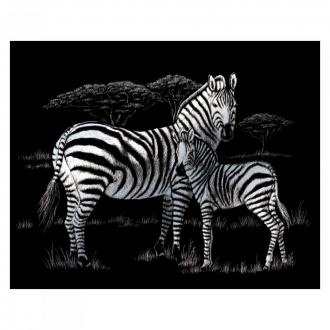 Vyškrabávacie obrázok - Zebry