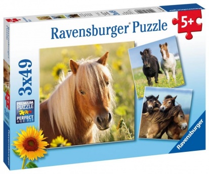 Ravensburger Kone 3 x 49 dielikov