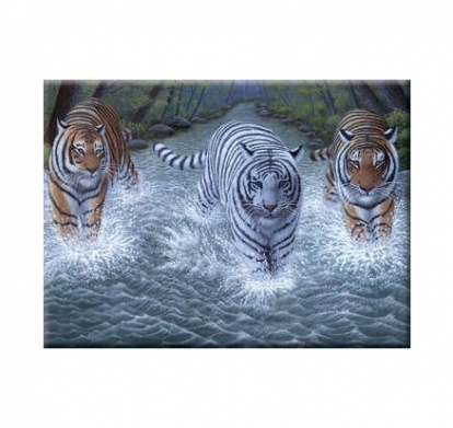 Maľovanie podľa čísel - Tri tigre