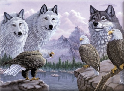 Maľovanie podľa čísel -Vlci a orli