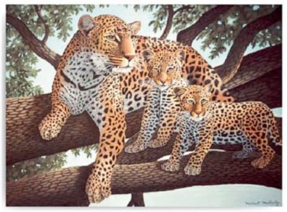 Maľovanie podľa čísel- Leopard s mláďatami