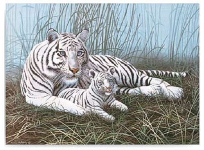 Maľovanie podľa číselného Biely tiger s mláďaťom