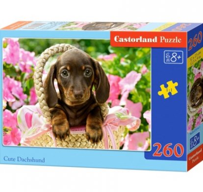 Puzzle Castorland 260 dielikov - Roztomilý jazvečík v košíku