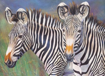 Maľovanie podľa čísel 30x40 cm- Zebry