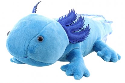 Lamps Plyš Axolotl modrý 30 cm Eco-friendly
