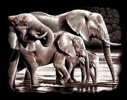 slony zlaté